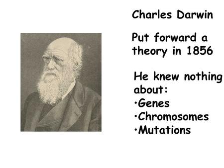 Charles Darwin Put forward a theory in 1856 He knew nothing about: Genes Chromosomes Mutations.