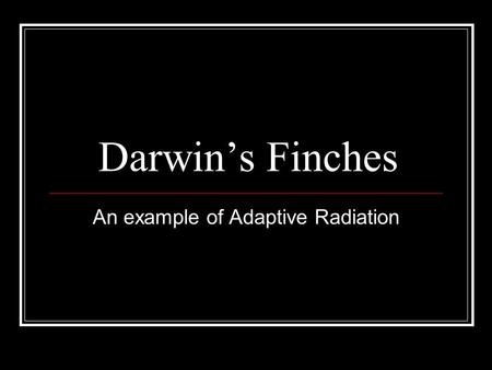 Darwin’s Finches An example of Adaptive Radiation.