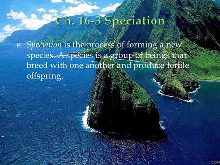  Speciation is the process of forming a new species. A species is a group of beings that breed with one another and produce fertile offspring.