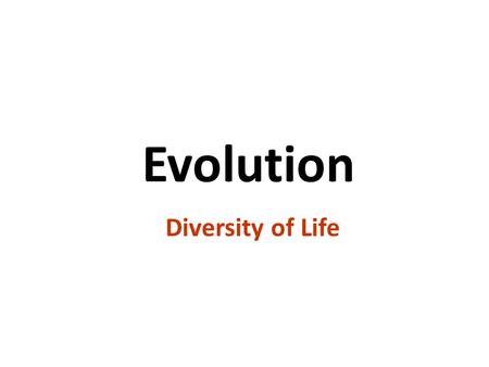 1 Evolution Diversity of Life copyright cmassengale.