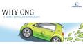 WHY CNG IS MORE POPULAR NOWADAYS. Over the past decade, a rising number of car buyers have been opting for a petrol car with a Compressed Natural Gas.