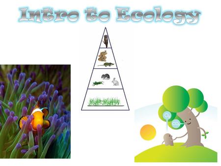 Ecology studies 2 things: Ecology studies 2 things: ● the interactions of organisms with each other ● the interactions between organisms and their environment.