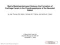 Matrix Metalloproteinase-9 Induces the Formation of Cartilage Canals in the Chondroepiphysis of the Neonatal Rabbit by Joel Thomas Kirk Melton, Nicholas.