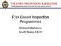 Risk Based Inspection Programmes Richard Matheson South Wales F&RS.