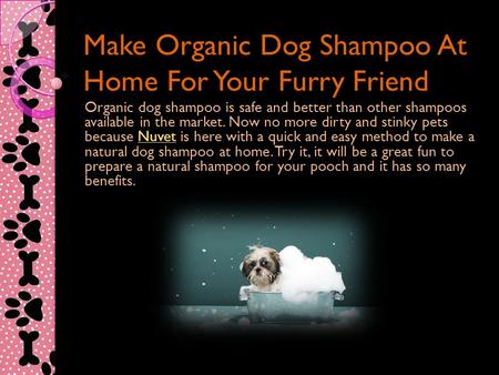 Make Organic Dog Shampoo At Home For Your Furry Friend Organic dog shampoo is safe and better than other shampoos available in the market. Now no more.