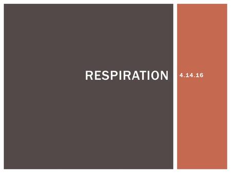 4.14.16 RESPIRATION.  Gas exchange  4 tasks involved 1.Pulmonary ventilation 2.External respiration 3.Respiratory gas transport 4.Internal respiration.