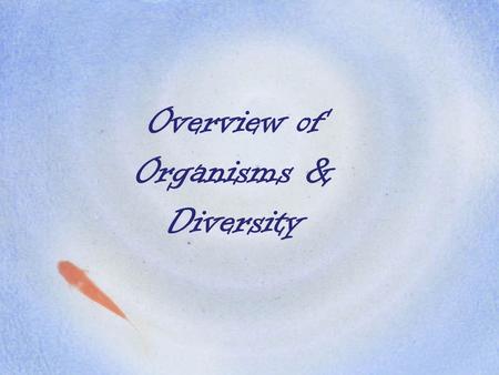 Overview of Organisms & Diversity. Prokaryotes Prokaryotes are thought the earth’s oldest organisms They are the most abundant ones. Bacteria are prokaryotes.