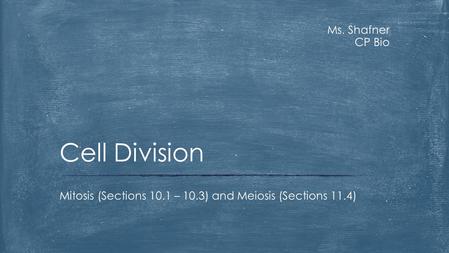 Ms. Shafner CP Bio Mitosis (Sections 10.1 – 10.3) and Meiosis (Sections 11.4) Cell Division.