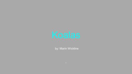 Koalas by: Marin Wickline 1. Koalas live in Australia.