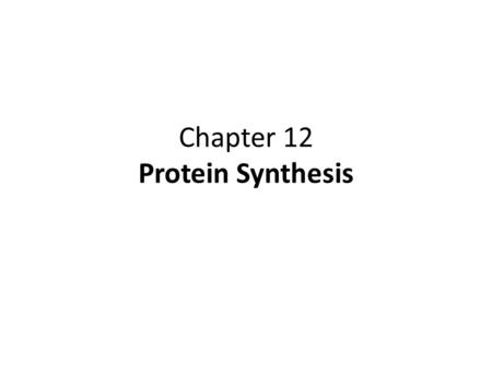 Chapter 12 Protein Synthesis. Central Dogma: DNA  RNA  Protein (the flow of genetic information)