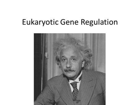 Eukaryotic Gene Regulation