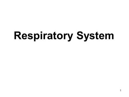 Respiratory System.