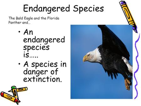 Endangered Species An endangered species is….. A species in danger of extinction. The Bald Eagle and the Florida Panther and…