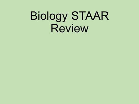 Biology STAAR Review. Cell A Cell B Identify the Prokaryote & the Eukaryote cell. What are 2 main differences between them? Eukaryotes: 1) have true nucleus.