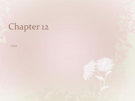 Chapter 12. 12.1 Identifying the Substance of Genes 12.2 The Structure of DNA 12.3 DNA Replication More DNA 100 200 300 400 500 600 700 800 900 1000 1100.