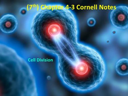 (7th) Chapter 4-3 Cornell Notes