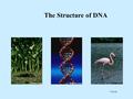 Y Stock The Structure of DNA You should know The double-helix structure of DNA including- The components of nucleotides The sugar-phosphate backbone.