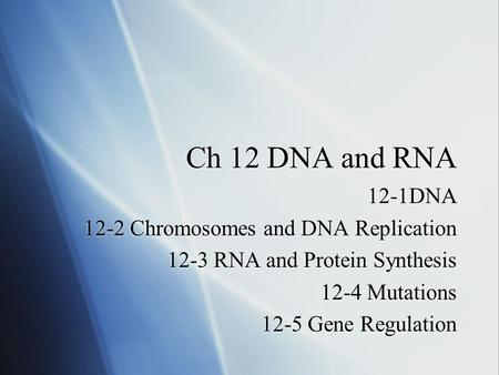 Ch 12 DNA and RNA 12-1DNA 12-2 Chromosomes and DNA Replication 12-3 RNA and Protein Synthesis 12-4 Mutations 12-5 Gene Regulation 12-1DNA 12-2 Chromosomes.