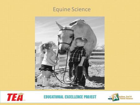 Equine Science http://www.fotothing.com/photos/566/566d3256d4d982cbe4598f0c02ecf429_328.jpg http://doublequarterhorses.webs.com/DQH%20141.jpg http://crossfittribe.com/wp-content/uploads/2010/11/funny_goat_1400x1050.jpg.