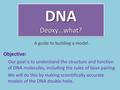 DNA Deoxy…what? A guide to building a model. Objective: Our goal is to understand the structure and function of DNA molecules, including the rules of base.