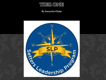 By Samantha Clarke. Strategic, Achiever, Woo, Communication, Relator These characteristics were the basis of my leadership experience. Realizing that.