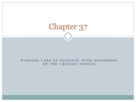 NURSING CARE OF PATIENTS WITH DISORDERS OF THE URINARY SYSTEM Chapter 37.