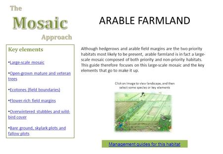 Key elements Large-scale mosaic Open-grown mature and veteran trees Open-grown mature and veteran trees Ecotones (field boundaries) Flower-rich field margins.