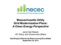 Massachusetts Utility Grid Modernization Plans: A Clean Energy Perspective Janet Gail Besser VP, Policy and Government Affairs New England Electricity.