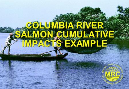 COLUMBIA RIVER SALMON CUMULATIVE IMPACTS EXAMPLE.