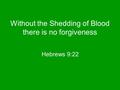 Hebrews 9:22 Without the Shedding of Blood there is no forgiveness.