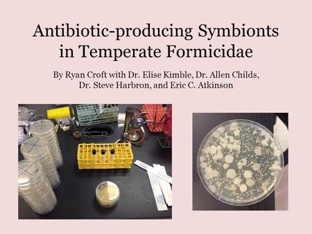 Antibiotic-producing Symbionts in Temperate Formicidae By Ryan Croft with Dr. Elise Kimble, Dr. Allen Childs, Dr. Steve Harbron, and Eric C. Atkinson.