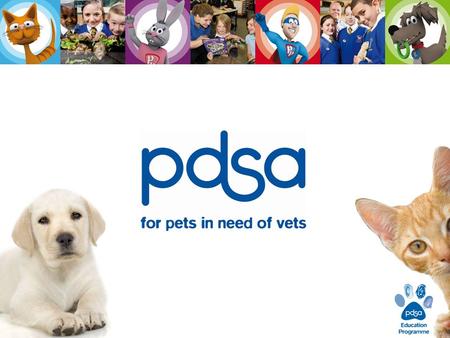 What does PDSA do ? We care for the sick and injured pets of people in need…. PDSA is a veterinary charity. … and teach people about looking after their.