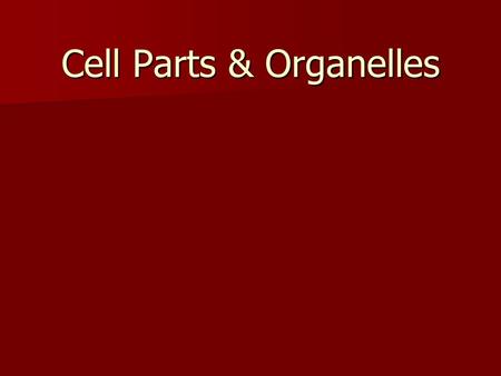 Cell Parts & Organelles. 1. Cell Wall A) function: physical protection & structural support A) function: physical protection & structural support B) Structure: