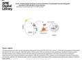 Date of download: 6/6/2016 Copyright © 2016 SPIE. All rights reserved. Synaptic activity promotes dynein-dependent retrograde transport of NF-κB to the.