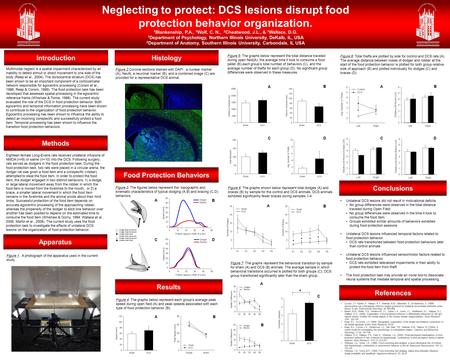 Neglecting to protect: DCS lesions disrupt food protection behavior organization. 1 Blankenship, P.A., 1 Wolf, C. N., 2 Cheatwood, J.L., & 1 Wallace, D.G.