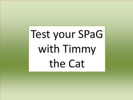 Test your SPaG with Timmy the Cat. pronoun proper noun question semicolon singular statement subject subject verb agreement subordinate clause suffix.