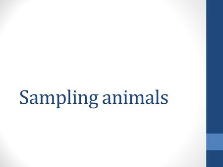 Sampling animals. What do you remember? What is biodiversity? What is species richness? Whose formula can be used to put a figure on the biodiversity.