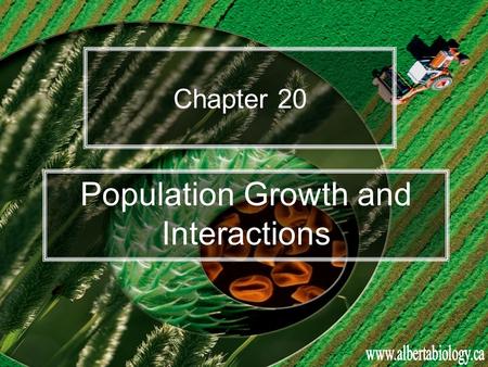 Chapter 20 Population Growth and Interactions. Chapter 20 Population Growth and Interactions 20.1 Population Growth 20.2 Interactions in Ecological Communities.