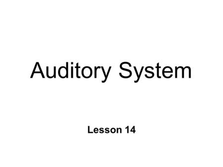 Auditory System Lesson 14. The Stimulus n What kind of energy is sound? l mechanical l movement of air molecules n Waves l intensity = amplitude l pitch.