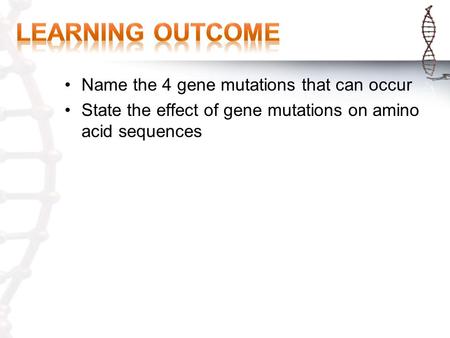 Name the 4 gene mutations that can occur State the effect of gene mutations on amino acid sequences.