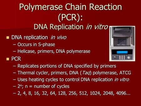 Polymerase Chain Reaction (PCR): DNA Replication in vitro DNA replication in vivo DNA replication in vivo –Occurs in S-phase –Helicase, primers, DNA polymerase.