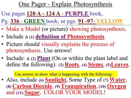 One Pager - Explain Photosynthesis Use pages 120 A - 124 A - PURPLE book, Pg. 336 - GREEN book, or pgs. 91 -97- YELLOW Make a Model (or picture) showing.