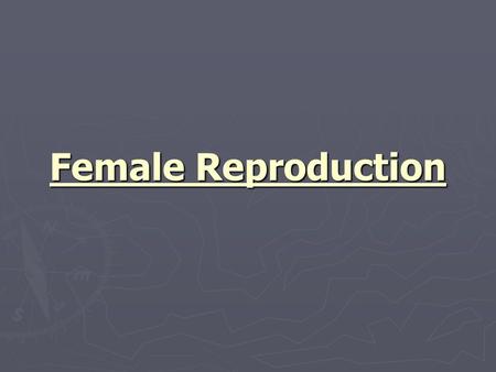 Female Reproduction. ► Ovary ► Sex gland similar to male testicle ► one located on each side of the uterus ► Stores/matures ova.