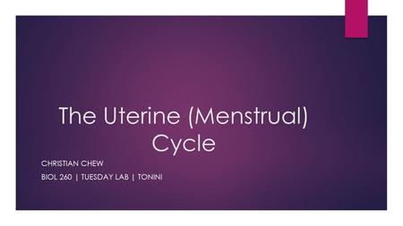 The Uterine (Menstrual) Cycle CHRISTIAN CHEW BIOL 260 | TUESDAY LAB | TONINI.