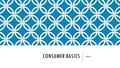 CONSUMER BASICS Unit 6. CONSUMER DECISIONS Habit Decisions- ex. go to salon for a haircut Planned Decisions- ex. what to buy at the grocery store Needs,