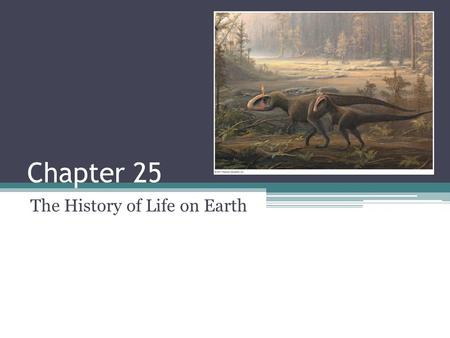 The History of Life on Earth