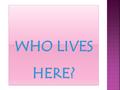 Can you guess who lives in each of the following houses?