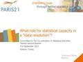 What role for statistical capacity in a “data revolution”? Committee for the Co-ordination of Statistical Activities Twenty-second Session 4-6 September.