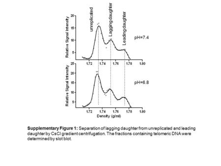 PH=7.4 pH=6.8 unreplicated Lagging daughter Leading daughter Supplementary Figure 1: Separation of lagging daughter from unreplicated and leading daughter.