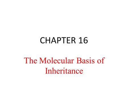 CHAPTER 16 The Molecular Basis of Inheritance. Life’s Operating Instructions In 1953, James Watson and Francis Crick introduced an elegant double-helical.